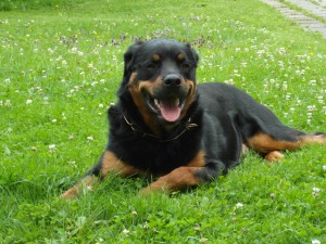 SAM_0348